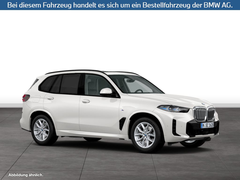 Fahrzeugabbildung BMW X5 xDrive30d